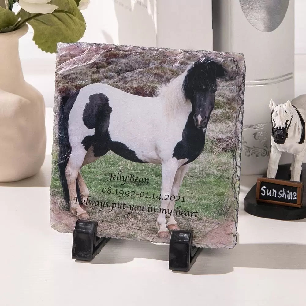 Customize Any Pet Remembrance Photo Plaque
