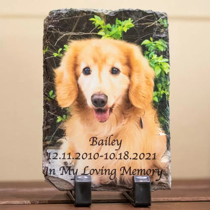 Personalized Colorful Pet Photo Rock Slate| Pet Memorial Ornament | Gift for Pet Lovers