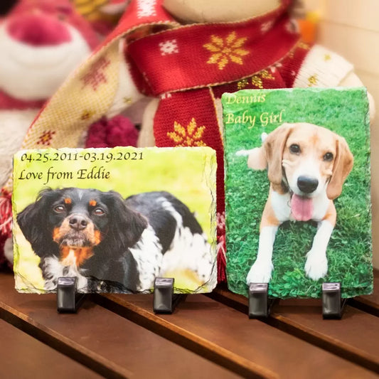 Personalized Colorful Pet Photo Rock Slate| Pet Memorial Ornament | Gift for Pet Lovers