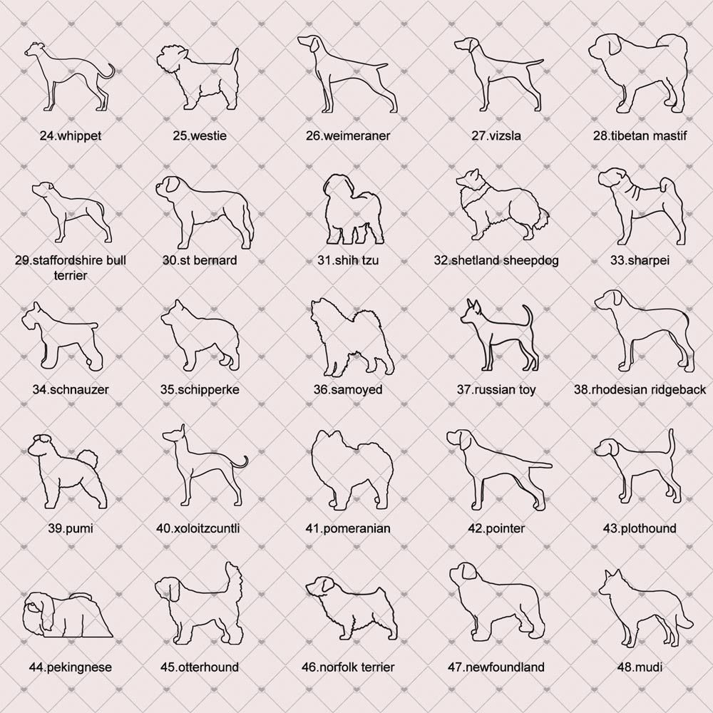 A list of dog breeds outline artworks