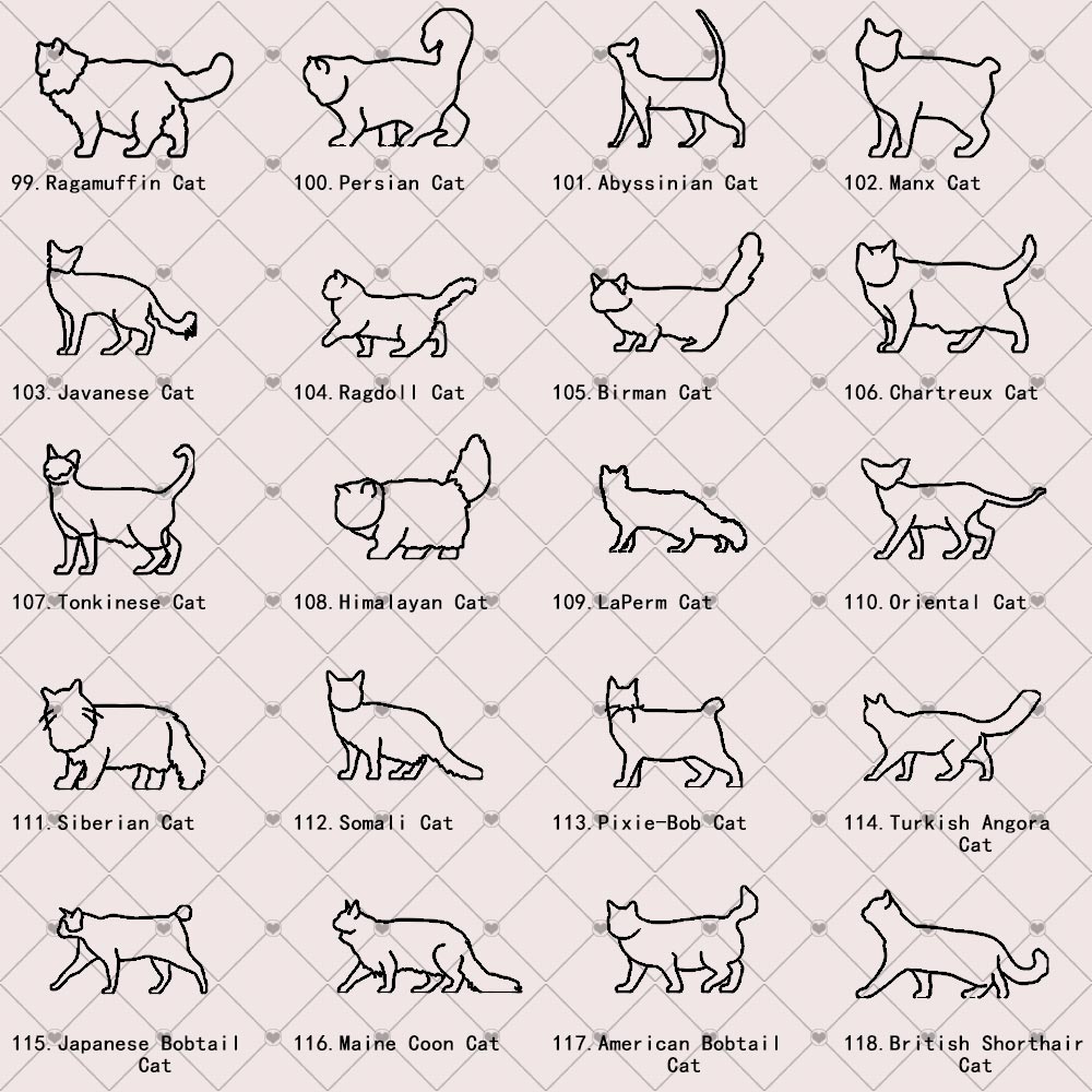 A list of cat breeds outline artworks