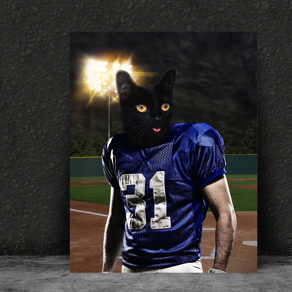 The Football - Custom Pet Canvas Wraps