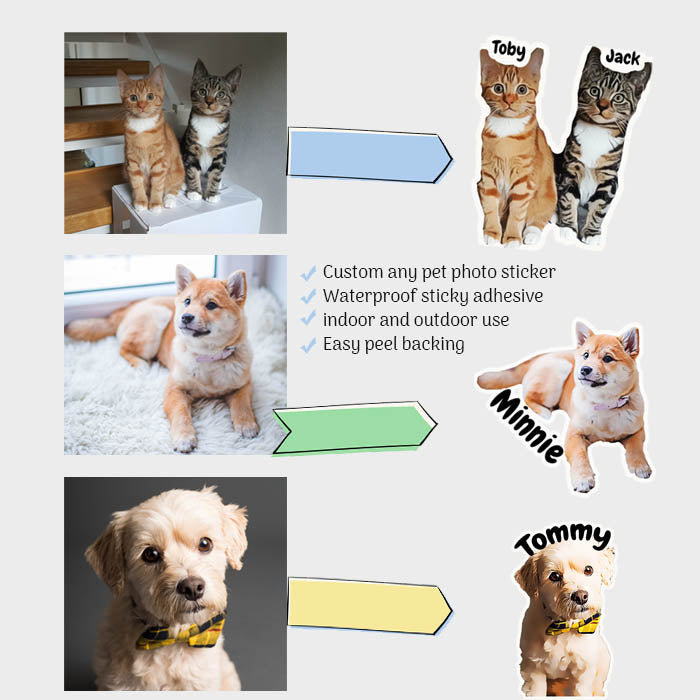 Custom Pet Photo  Die-Cut Stickers Waterproof Sticky (set of 3 pc)