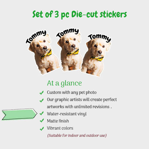 Custom Pet Photo  Die-Cut Stickers Waterproof Sticky (set of 3 pc)